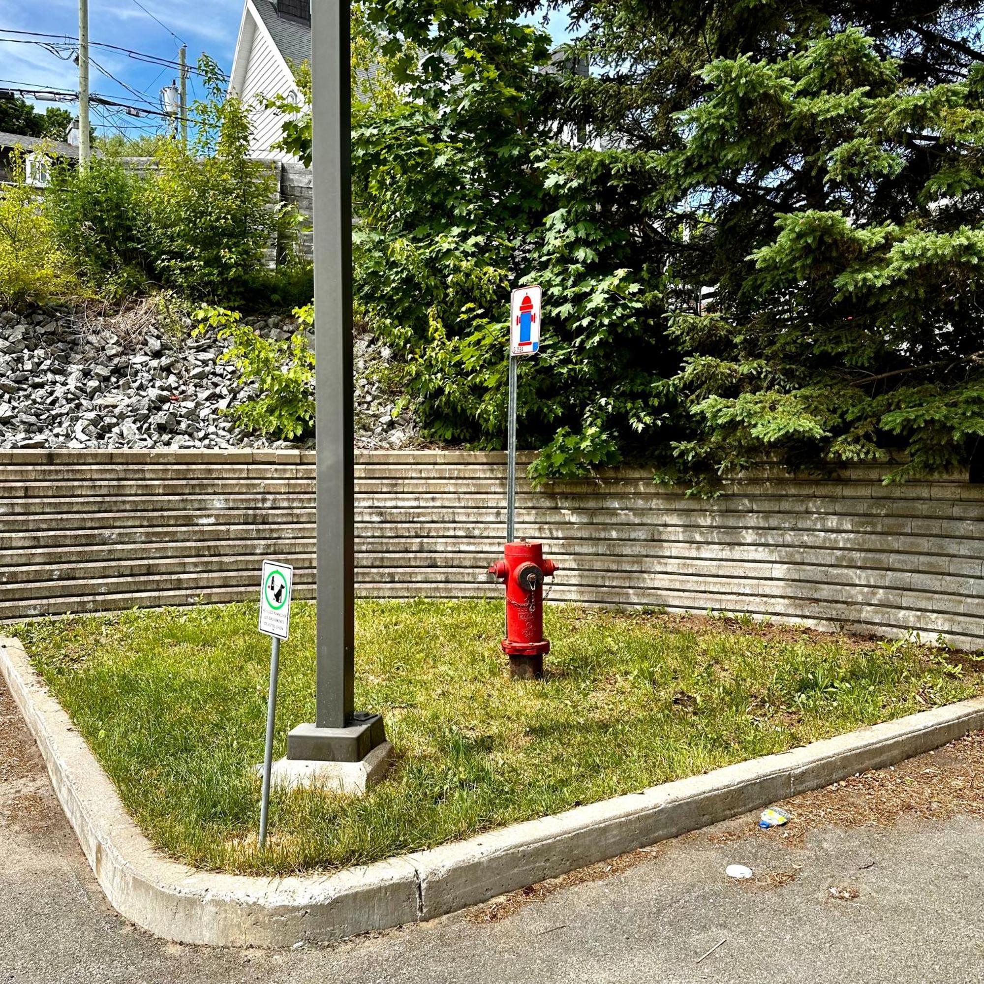 Initial / Panorama / Chutes Montmorency Saint-Jean-de-Boischâtel Exterior foto